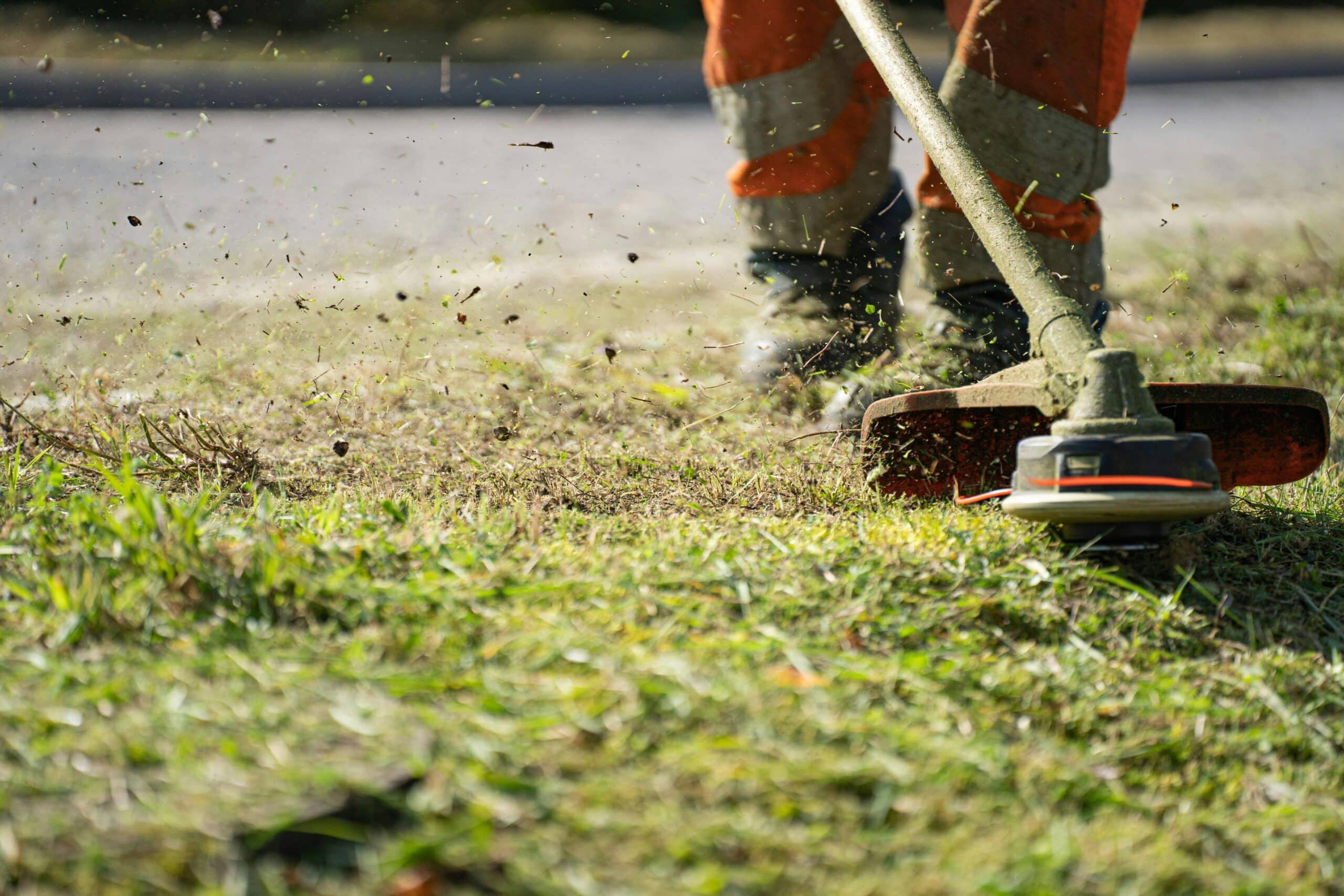 lawn care mow service